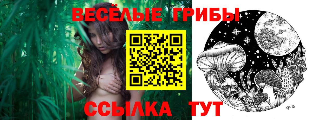 Псилоцибиновые грибы мицелий Светлоград