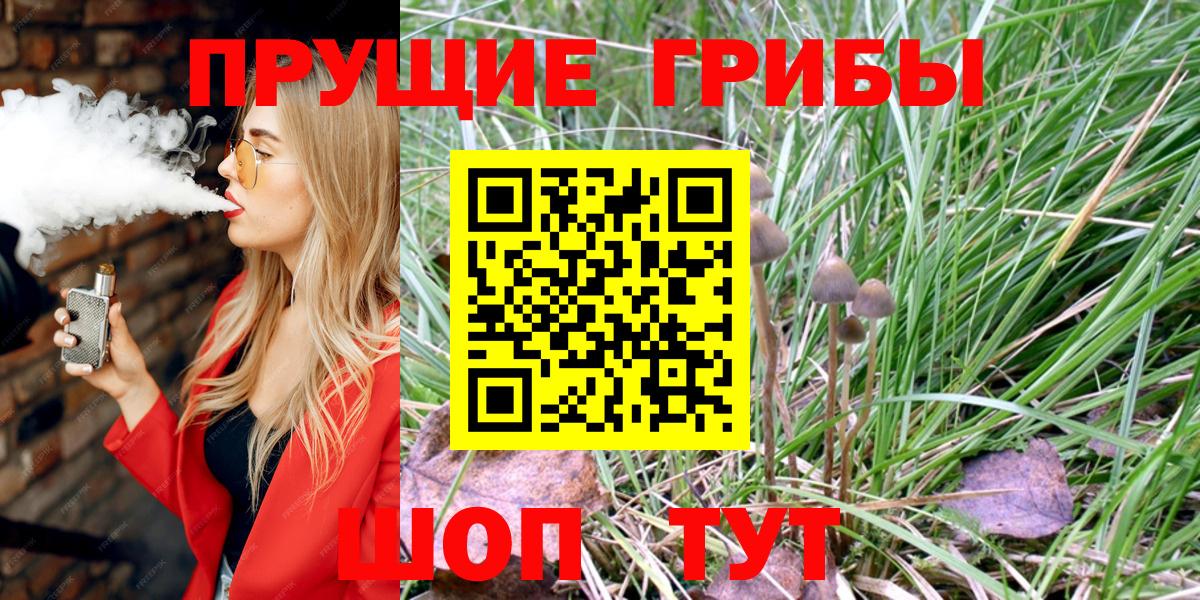 Псилоцибиновые грибы мухоморы  Вход с VPN  Светлоград 